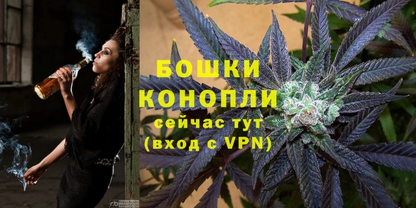 гидропоника Гусиноозёрск