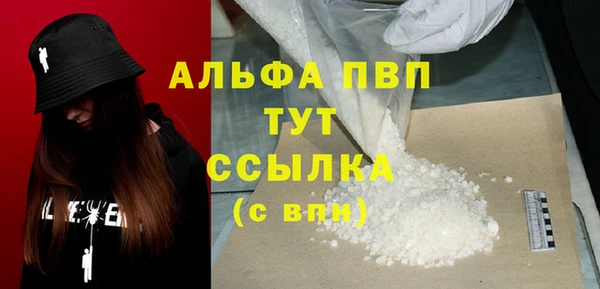 спиды Гусев