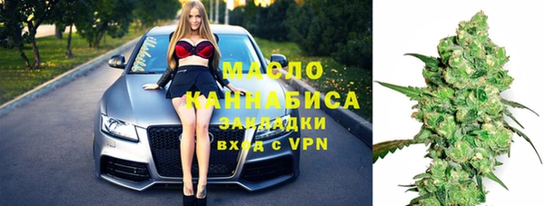 сатива Дмитриев