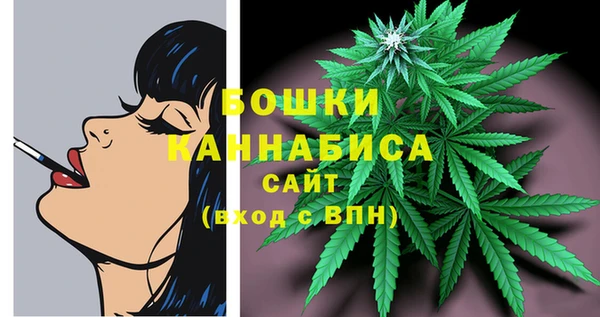 спиды Гусев