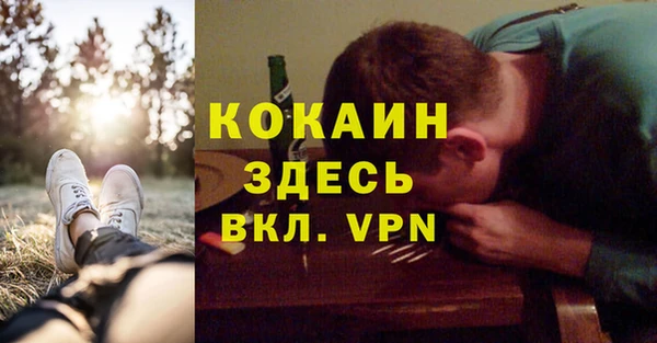 гидропоника Гусиноозёрск