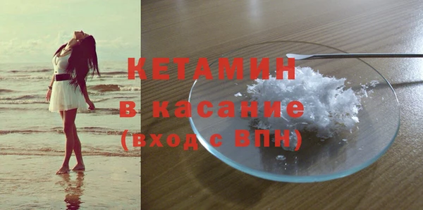 гидропоника Гусиноозёрск