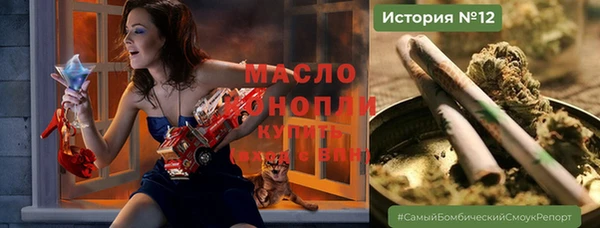 гидропоника Гусиноозёрск