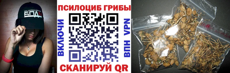 Купить закладки  Североуральск  Галлюциногенные грибы мицелий 