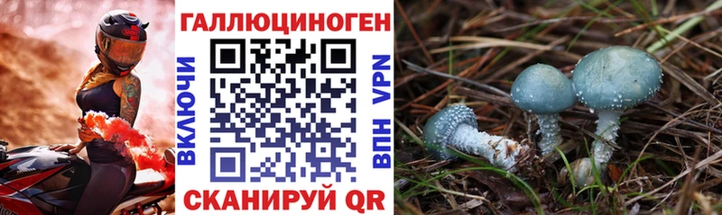 Псилоцибиновые грибы прущие грибы Североуральск